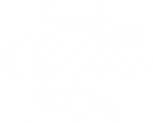 Surf Culture surfing school SA Adelaide